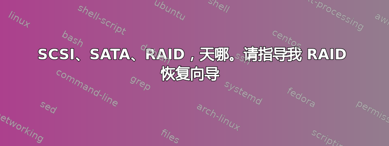 SCSI、SATA、RAID，天哪。请指导我 RAID 恢复向导 