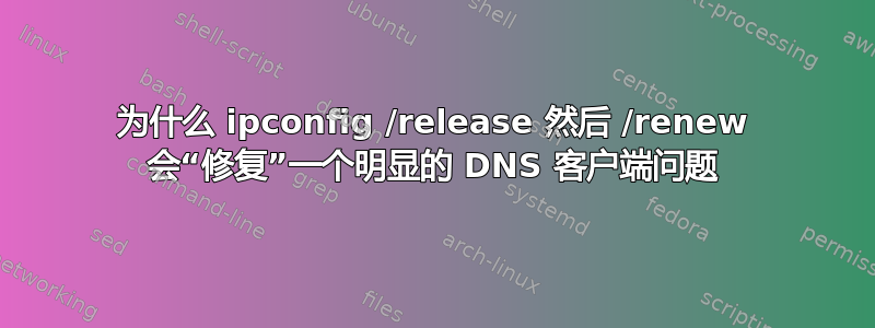 为什么 ipconfig /release 然后 /renew 会“修复”一个明显的 DNS 客户端问题