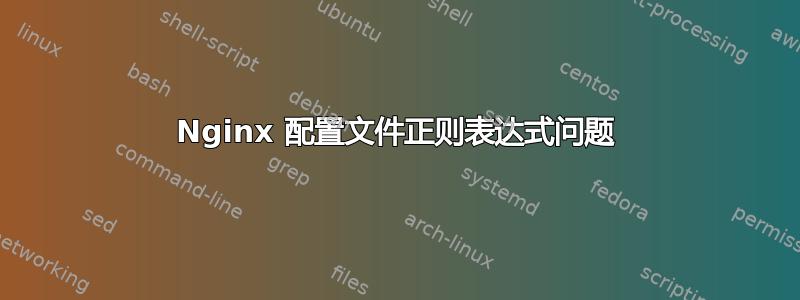 Nginx 配置文件正则表达式问题