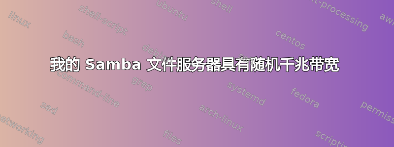 我的 Samba 文件服务器具有随机千兆带宽