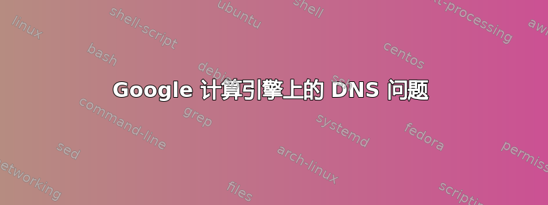 Google 计算引擎上的 DNS 问题