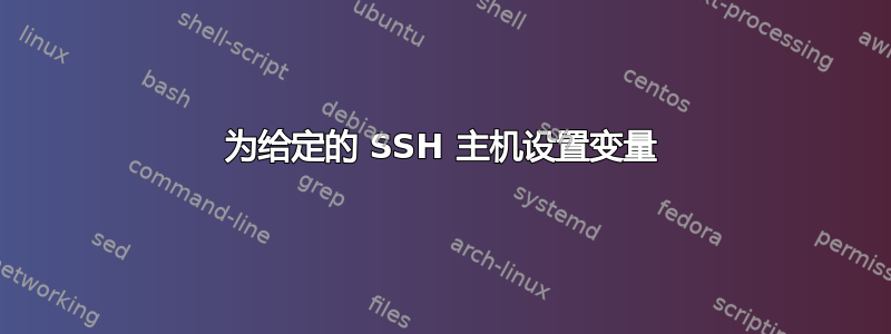 为给定的 SSH 主机设置变量