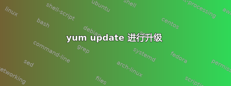 yum update 进行升级