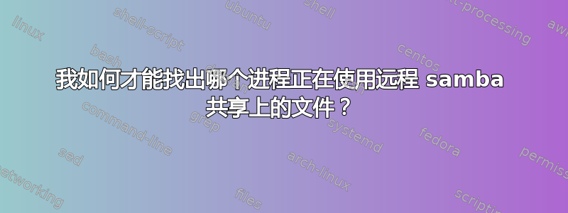 我如何才能找出哪个进程正在使用远程 samba 共享上的文件？