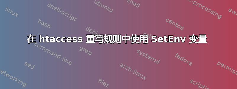 在 htaccess 重写规则中使用 SetEnv 变量