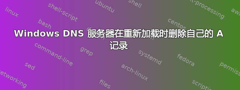 Windows DNS 服务器在重新加载时删除自己的 A 记录