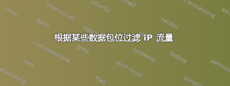 根据某些数据包位过滤 IP 流量