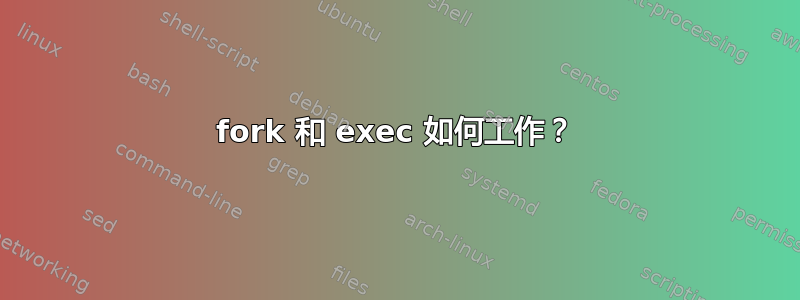 fork 和 exec 如何工作？