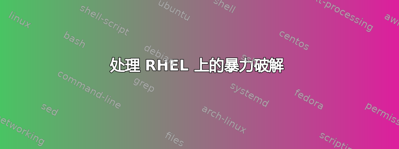 处理 RHEL 上的暴力破解