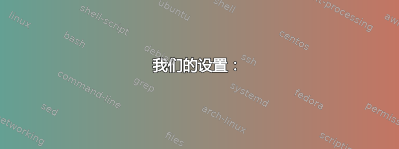 我们的设置：