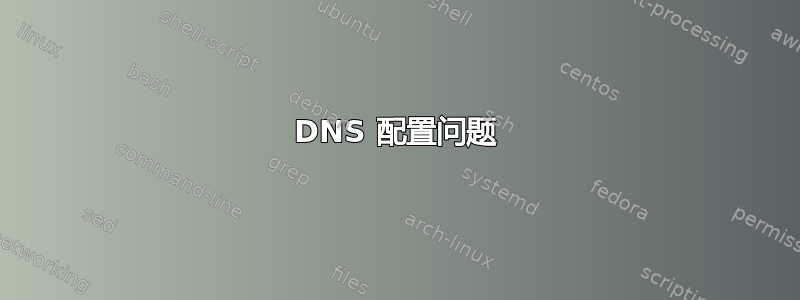 DNS 配置问题