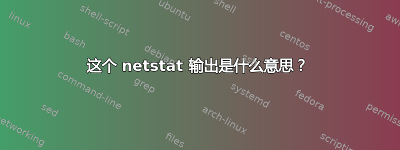 这个 netstat 输出是什么意思？