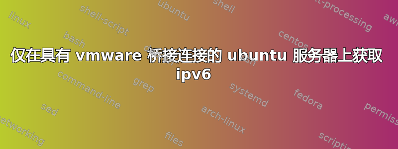 仅在具有 vmware 桥接连接的 ubuntu 服务器上获取 ipv6 