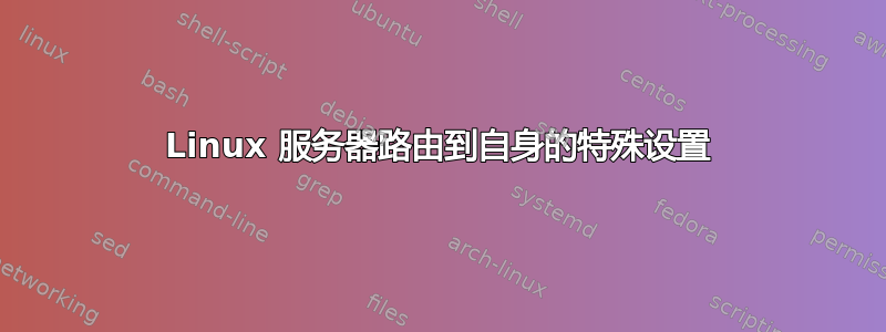 Linux 服务器路由到自身的特殊设置