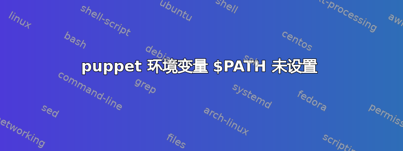 puppet 环境变量 $PATH 未设置