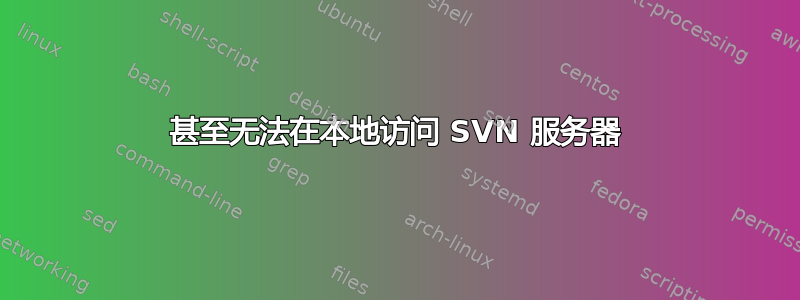 甚至无法在本地访问 SVN 服务器