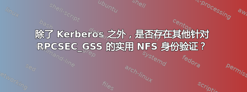 除了 Kerberos 之外，是否存在其他针对 RPCSEC_GSS 的实用 NFS 身份验证？