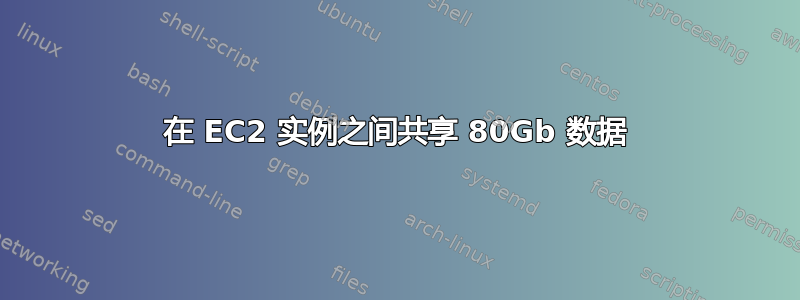 在 EC2 实例之间共享 80Gb 数据