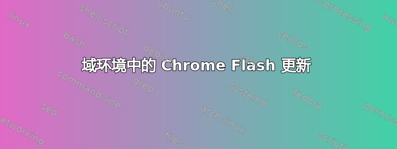 域环境中的 Chrome Flash 更新