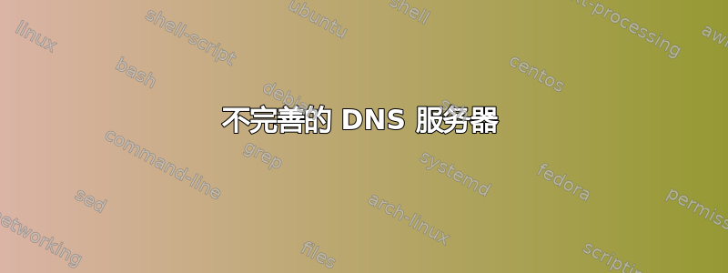 不完善的 DNS 服务器