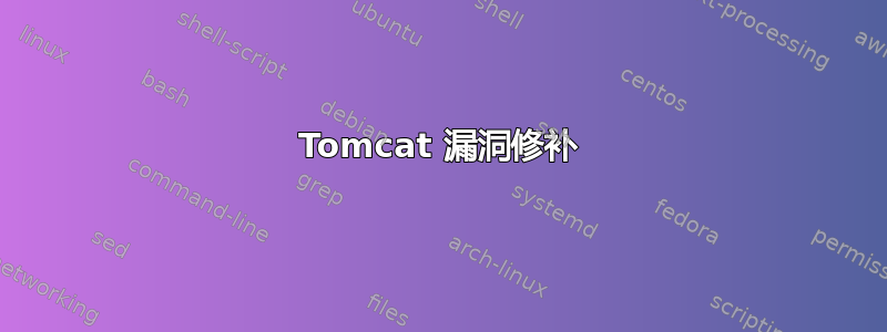 Tomcat 漏洞修补