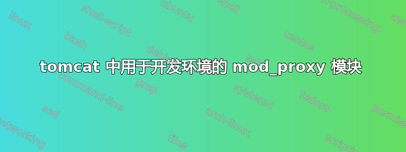 tomcat 中用于开发环境的 mod_proxy 模块