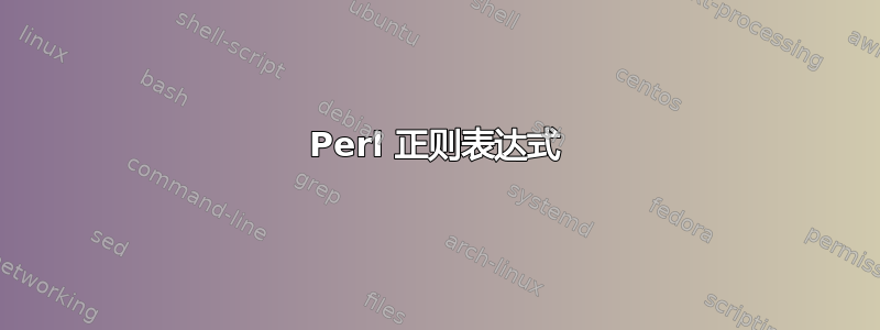 Perl 正则表达式