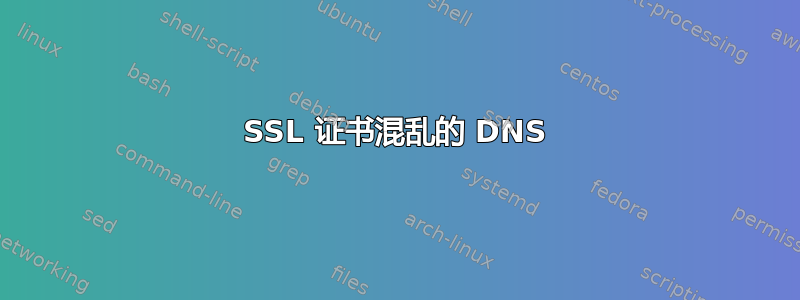 SSL 证书混乱的 DNS