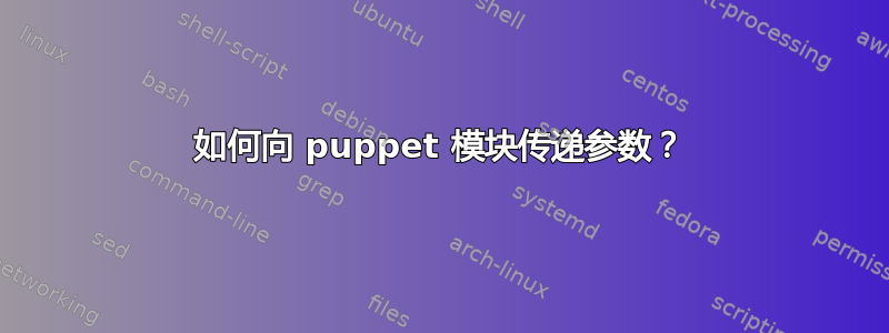 如何向 puppet 模块传递参数？