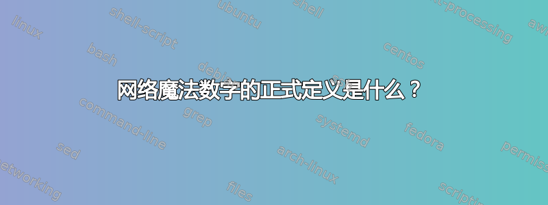 网络魔法数字的正式定义是什么？