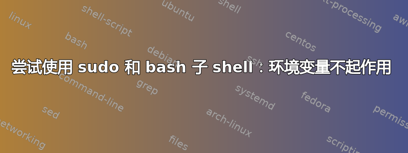 尝试使用 sudo 和 bash 子 shell：环境变量不起作用