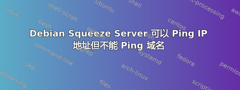 Debian Squeeze Server 可以 Ping IP 地址但不能 Ping 域名