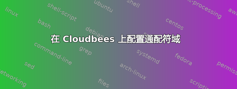 在 Cloudbees 上配置通配符域 