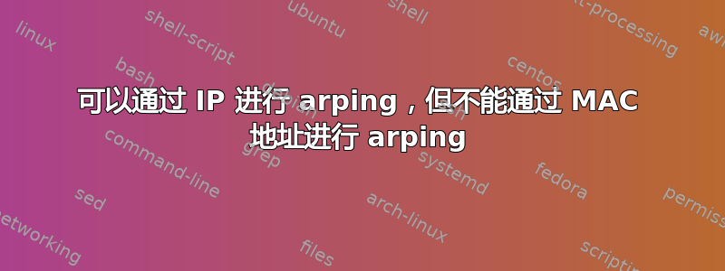 可以通过 IP 进行 arping，但不能通过 MAC 地址进行 arping