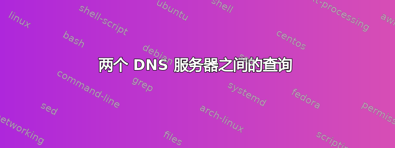 两个 DNS 服务器之间的查询