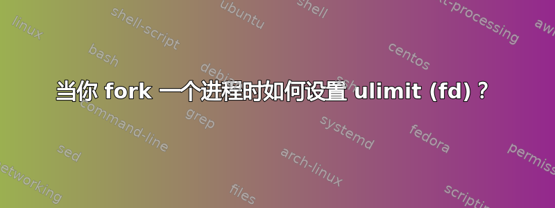 当你 fork 一个进程时如何设置 ulimit (fd)？