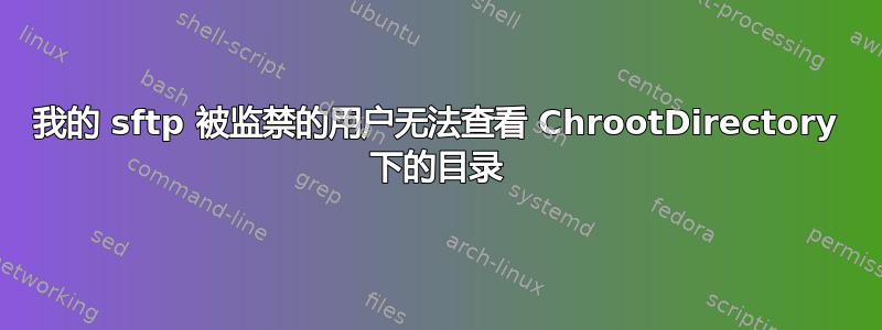 我的 sftp 被监禁的用户无法查看 ChrootDirectory 下的目录