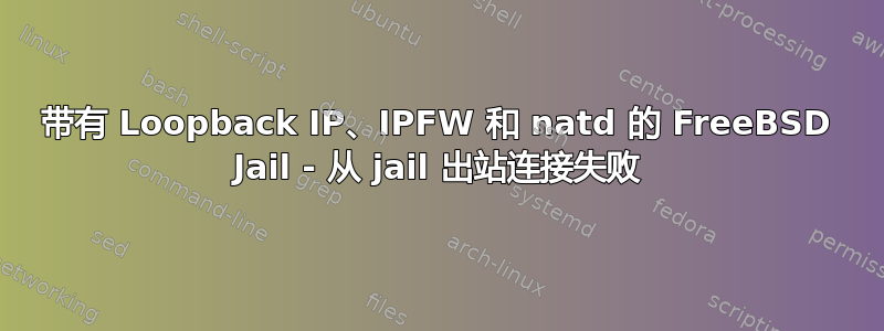 带有 Loopback IP、IPFW 和 natd 的 FreeBSD Jail - 从 jail 出站连接失败