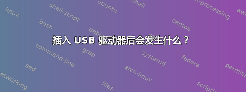 插入 USB 驱动器后会发生什么？