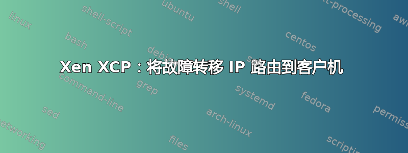 Xen XCP：将故障转移 IP 路由到客户机