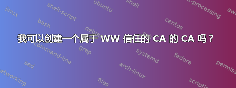 我可以创建一个属于 WW 信任的 CA 的 CA 吗？