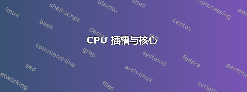 CPU 插槽与核心