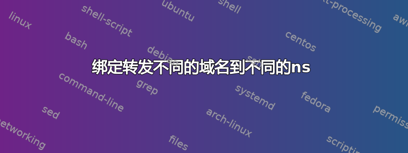 绑定转发不同的域名到不同的ns