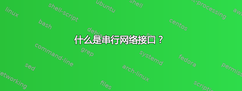 什么是串行网络接口？