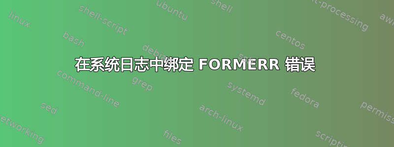 在系统日志中绑定 FORMERR 错误