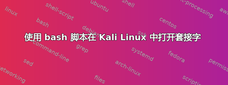 使用 bash 脚本在 Kali Linux 中打开套接字