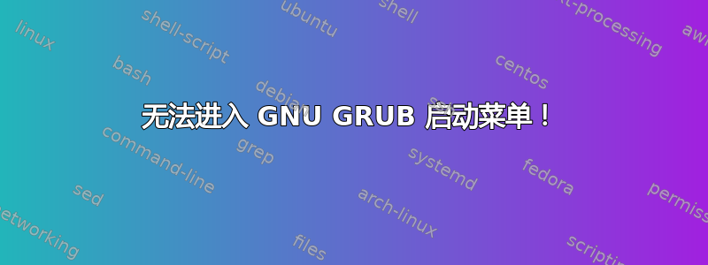 无法进入 GNU GRUB 启动菜单！