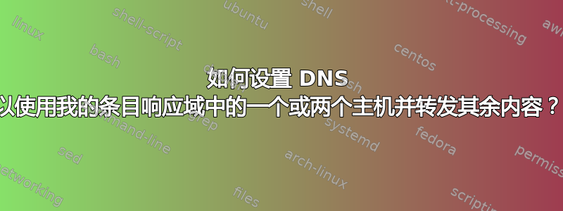 如何设置 DNS 以使用我的条目响应域中的一个或两个主机并转发其余内容？