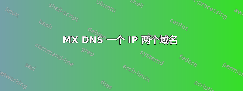 MX DNS 一个 IP 两个域名