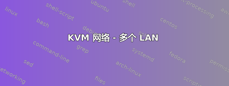 KVM 网络 - 多个 LAN